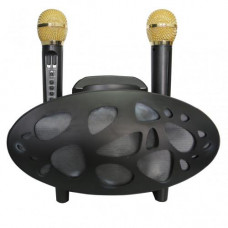 Bluetooth zvucnik karaoke XY-168 Crna